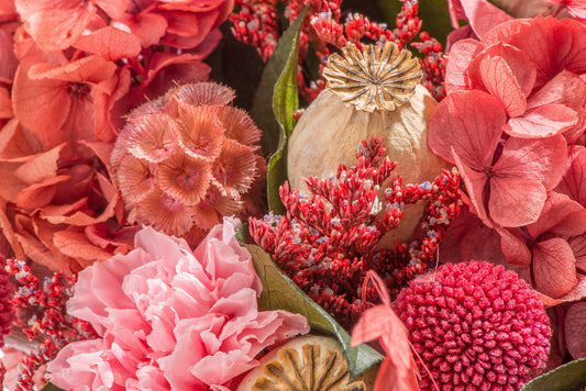 Wat is het verschil tussen droogbloemen en gepreserveerde bloemen?